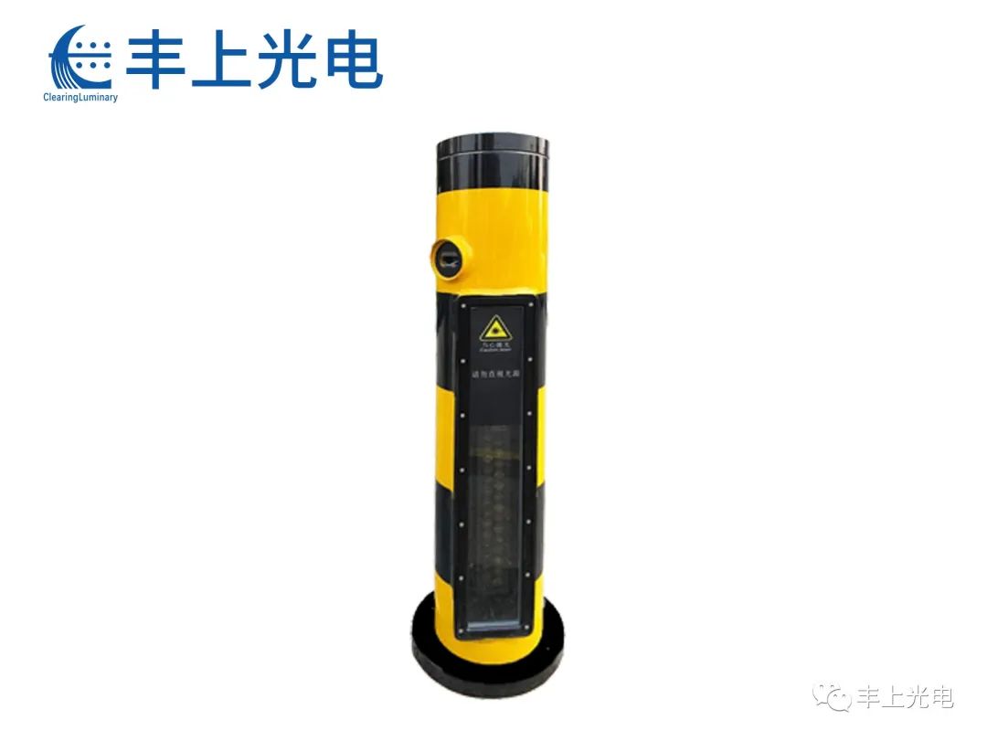 1657873405703145.jpg 640.jpg